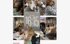 Screenshot 2025-11-14 at 22